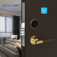 Cerradura de Puerta de Hotel Profesional con Control de Acceso por Software de Alta Seguridad, Precio de Fábrica, OEM, ODM, Mejor Calidad