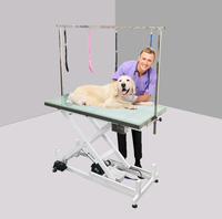 Table de toilettage pour animaux électrique hydraulique avec lumière LED, hauteur réglable, en acier inoxydable, pour salon de toilettage pour animaux
