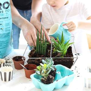 Boîtes <span class=keywords><strong>de</strong></span> plantation en acrylique avec ventouse, support créatif <span class=keywords><strong>pour</strong></span> Pot <span class=keywords><strong>de</strong></span> fleurs, plateau <span class=keywords><strong>de</strong></span> plante, grand cadeau décoratif <span class=keywords><strong>pour</strong></span> l'extérieur et l'intérieur - Product Image 5