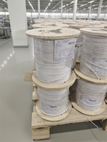 FTTH Fibre Optique Drop Cable Self Support 1 2 4 6 12 Core G652D G657A Extérieur 1KM 2KM Prix Usine Vente en Gros de Haute Qualité