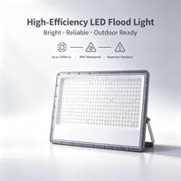 Reflector LED de Aluminio de Alta Luminosidad de 300W, Clasificación IP65, Luz Blanca Cálida para Almacenes y Paisajes OUTLUX E037 EMC LVD CE UKCA
