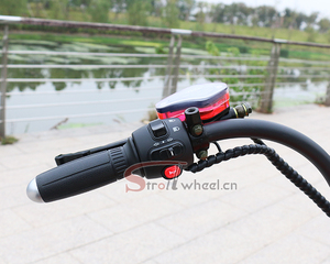 Scooter Dualtron M3 30 de 3000w, desde Almacén en Holanda, Alemania - Product Image 6