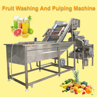 Efficiënte Commerciële Fruitreinigings-En Pulpproductielijn/Volautomatische Fruitreinigings-En Pulpmachine