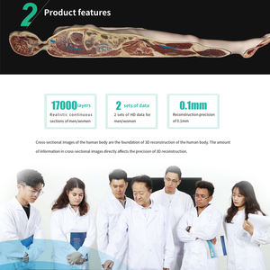 Sistema Didattico Digitale di Anatomia Umana <span class=keywords><strong>Anatomage</strong></span> Tavolo per Autopsia Virtuale 3D - Product Image 4