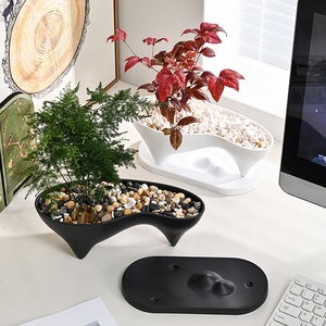 Maceta de Plástico con Forma de Isla de Ballenas Clásica para Bonsái y Paisajes, con Bandeja - Product Image 3