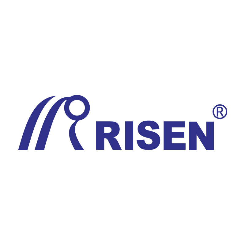Guangdong Risen Intelligent Equipment Co., Ltd.