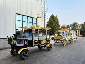 Carro de <span class=keywords><strong>caballos</strong></span> eléctrico más vendido y carro fúnebre tirado por <span class=keywords><strong>caballos</strong></span> a la venta - Product Image 3