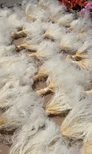 Vente chaude Ins Home Event Decor Préservé Stipa Tenuis Plume Herbe Fleurs pour Mariage et Halloween DIY Arrangements - Product Image 5