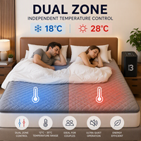 Surmatelas rafraîchissant à double zone avec contrôle de température à base d'eau pour couples, système de matelas rafraîchissant, surmatelas refroidi à l'eau