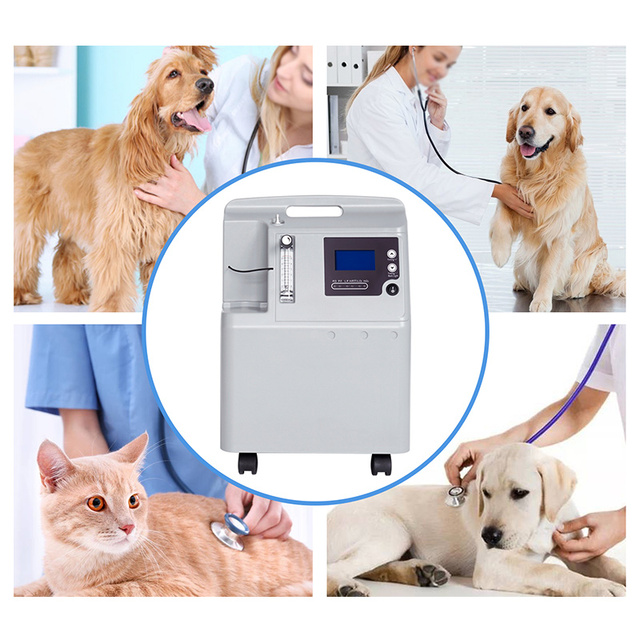 IN-5AW Vet New Upgrade Home or Medical Use Veterinary Use Portable Mini 5l Oxygen Concentrator O2 Generator