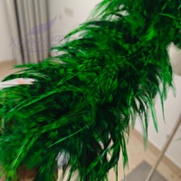 Boas de plumes de coq chinchilla teintes de 2 m pour costumes de danse, fêtes, festivals, spectacles et performances scéniques