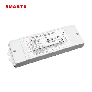 1000mA Triac Điều Chỉnh Liên Tục Hiện Tại Led Điều Khiển 40W