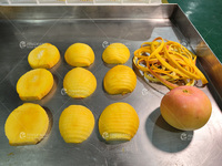 Industriële Elektromotor Machine Voor Vruchtensap Mango Appel Oranje Pulp Machine Rond Fruit Schillen Villen Machine