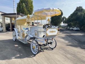 Fabricante de carruaje de caballos real Blanco/vagón de vehículo eléctrico de boda/carruaje eléctrico sin caballos de turismo - Product Image 4