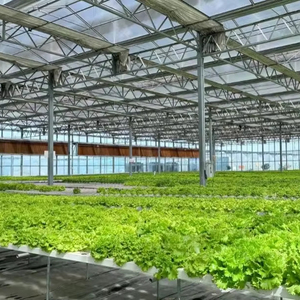 Costruzione della struttura d'acciaio con la parete divisoria di vetro <span class=keywords><strong>per</strong></span> la costruzione del telaio d'acciaio leggero prefabbricato della serra e del ristorante - Product Image 2