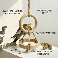 Jouet de balançoire pour oiseaux en bois et bambou, écologique, classique, motif dessin animé, double anneau, perchoir suspendu, durable, pour l'entraînement et l'exercice des perroquets en intérieur