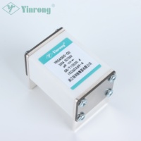 Fusible semi-conducteur compact Yinrong 750V en cuivre à faible I2T, limiteur de courant 80A-400A, haute vitesse, pour onduleur solaire et chargeur de VE