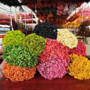Absorption Éternelle Tige Unique Anna <span class=keywords><strong>Hortensia</strong></span> Préservé Fleur Séchée <span class=keywords><strong>Hortensia</strong></span> Opp Sac Cadeau Valentine <span class=keywords><strong>Hortensia</strong></span> Préservé - Product Image 5