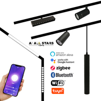 Nouveau design de rail magnétique pour éclairage LED linéaire, spots intérieurs personnalisés, glissants sur rail, pour vitrine, bibliothèque, éclairage d'hôtel