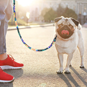 Correa para Perro con Logotipo de Nailon del Fabricante, Correa para Mascotas con Asa Acolchada de Neopreno, Collares y Correas Personalizadas para Perros - Product Image 2