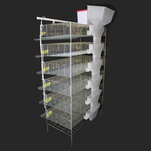 Venta de Fábrica 2026: Jaulas para Codornices de Granja Avícola para Producción de Huevos - Product Image 6