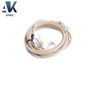 51304465-500 Câble de liaison E/S Honeywell - Product Image 2