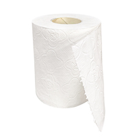 Papier essuie-tout écologique Eco Tissue 500 feuilles, papier toilette pour la famille, salon, usage quotidien portable et protection hygiénique