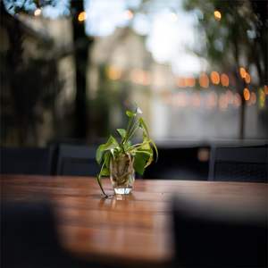 Lente Prime de Foco Fixo EF 50mm <span class=keywords><strong>F</strong></span>/<span class=keywords><strong>0.95</strong></span> para Câmeras Full-Frame com Construção em Metal e Vidro Óptico, Abertura <span class=keywords><strong>F</strong></span>/<span class=keywords><strong>0.95</strong></span>-<span class=keywords><strong>f</strong></span>/16 - Product Image 1