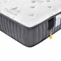 Échantillon gratuit d'usine OEM/ODM Matelas en mousse à double taille King Queen Dream Sleep Matelas orthopédique à ressorts ensachés