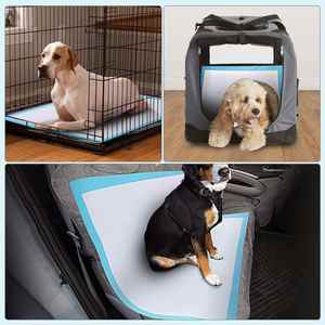 Tapis d'apprentissage de la propreté pour chiots, super absorbant, écologique, imperméable, jetable, tendance, avec matériau en bois pour chiens - Product Image 6
