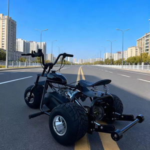 Nuevo Triciclo de Combustible con Arranque a Pedal, Karting de Gasolina para Exteriores, Neumáticos de Vacío, Karting de Carreras en Carretera para Adultos y Niños - Product Image 1