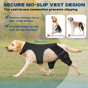 Supporto per Ginocchio Canino, Tutore Regolabile per Zampa Posteriore con 4 Stabilizzatori Metallici per Lesioni al LCA e CCL, Aiuta a Contenere la Rotazione della <span class=keywords><strong>Rotula</strong></span> - Product Image 4