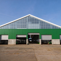 Construction de bâtiments en acier pour l'élevage de volailles, structure anti-corrosion, construction de hangars pour l'élevage de bétail