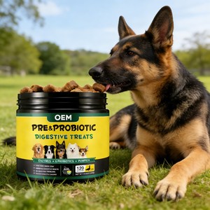 OEM ODM <b>Dog</b> <b>Probiotics</b> Soft Chewable Tablets High-Protein Immune Support Gut Health Digestive Support Skin Coat Health Pets - Product Image 2