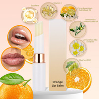 Baume à lèvres sans logo, saveur menthe, végan, stick de soin pour les lèvres, baume à lèvres, maquillage, baume à lèvres, nouveau gel naturel biologique imperméable, stick à lèvres