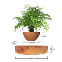 Pot de fleurs flottant en bois à lévitation magnétique, alimenté électriquement, 12-15 mm, design créatif moderne, certifié 15V 1A