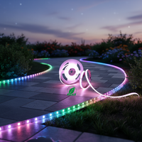 Bande lumineuse LED COB 576D 10W/M 24V en cuivre, contrôlée par Wi-Fi, éclairage décoratif pour téléviseur domestique, largeur 8mm, garantie 3 ans