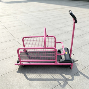 Tapis Roulant per Addestramento Cani EUR VET ER-C100W in Acciaio Inox Ecologico per Animali di Piccola Taglia e Gatti con Funzionamento Automatico - Product Image 2