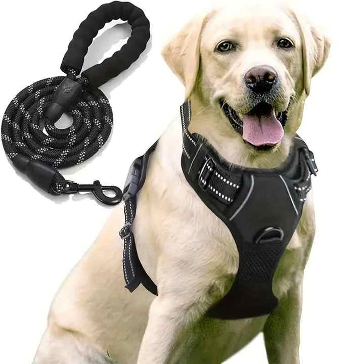 Ferplast Giotto Luxor Dog Harness, Size M (40-50 Cm) - Black Leather With Pyramid Studs, Adjustable & Padded