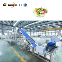 500kg/u Chicory Groentewasmachine vortex Groentewasmachine Broccoli Spinazie Salade Reinigingslijn