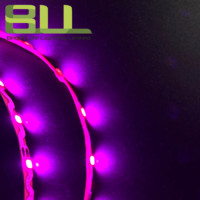 Zigzag rose 60leds lumière led intelligente SMD2835 12V led flexible pour la décoration de rétro-éclairage de lettre publicitaire
