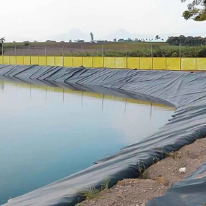 Revêtement de géomembrane étanche HDPE 0.5mm 0.75mm 1mm 1.5mm Revêtement d'étang de barrage anti-UV pour ferme de crevettes de poissons pour décharge de biodigesteur