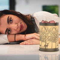 Wapiti en forêt brûleur à huile en métal européen chauffe-cire délicat romantique en céramique porte-bougie brûleur à huile chauffe-parfum