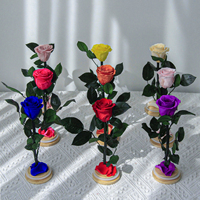 Roses éternelles Lovebay en gros, roses stabilisées dans un verre, fleurs naturelles éternelles, fleurs stabilisées individuelles avec tige