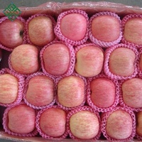 Verse Vruchten Rode Sappige Fuji Apple Verse Apple Fuji Met Goede Heerlijk Voor Verkoop