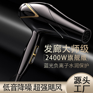 Hair Dryer 2400W Negative Ion Blue Light Protection Salon Grade Low Noise Strong Wind - Product Image 1