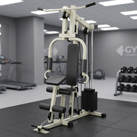 Appareil de fitness multifonctionnel monoposte pour la maison, avec fonction push-up, traction haute et basse, et pile de poids en acier