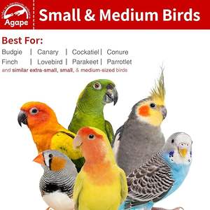 Parrot oyuncak ile dönen papağan levrek oyuncak, her türlü kuşlar için doğal ahşap levrek <span class=keywords><strong>stand</strong></span>ı, kuş kafesi aksesuar ile egzersiz tekerleği - Product Image 4