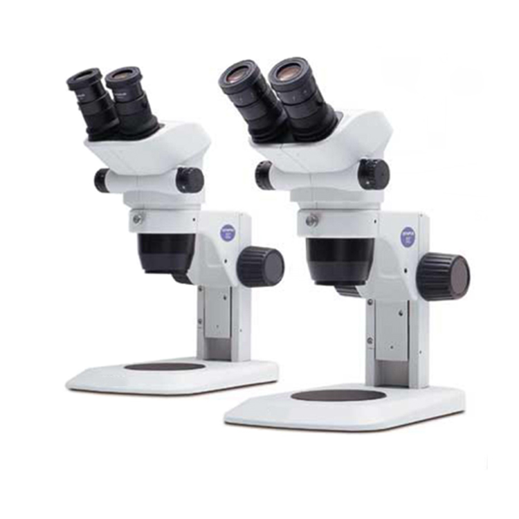 Equipo de laboratorio con fuente de luz ajustable arriba y abajo Microscopio estéreo binocular Microscopio biológico