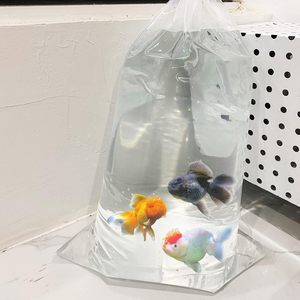 Factory Custom LD Polythene Transparent Side Gusset <b>Bags</b> with Gravure Printing for Sugar Packaging Recyclable Food Grade - Product Image 4